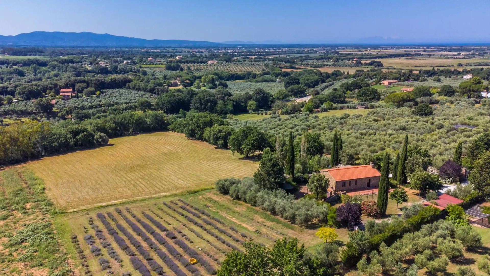 Appartamento Locazione Turistica Libeccio Bibbona