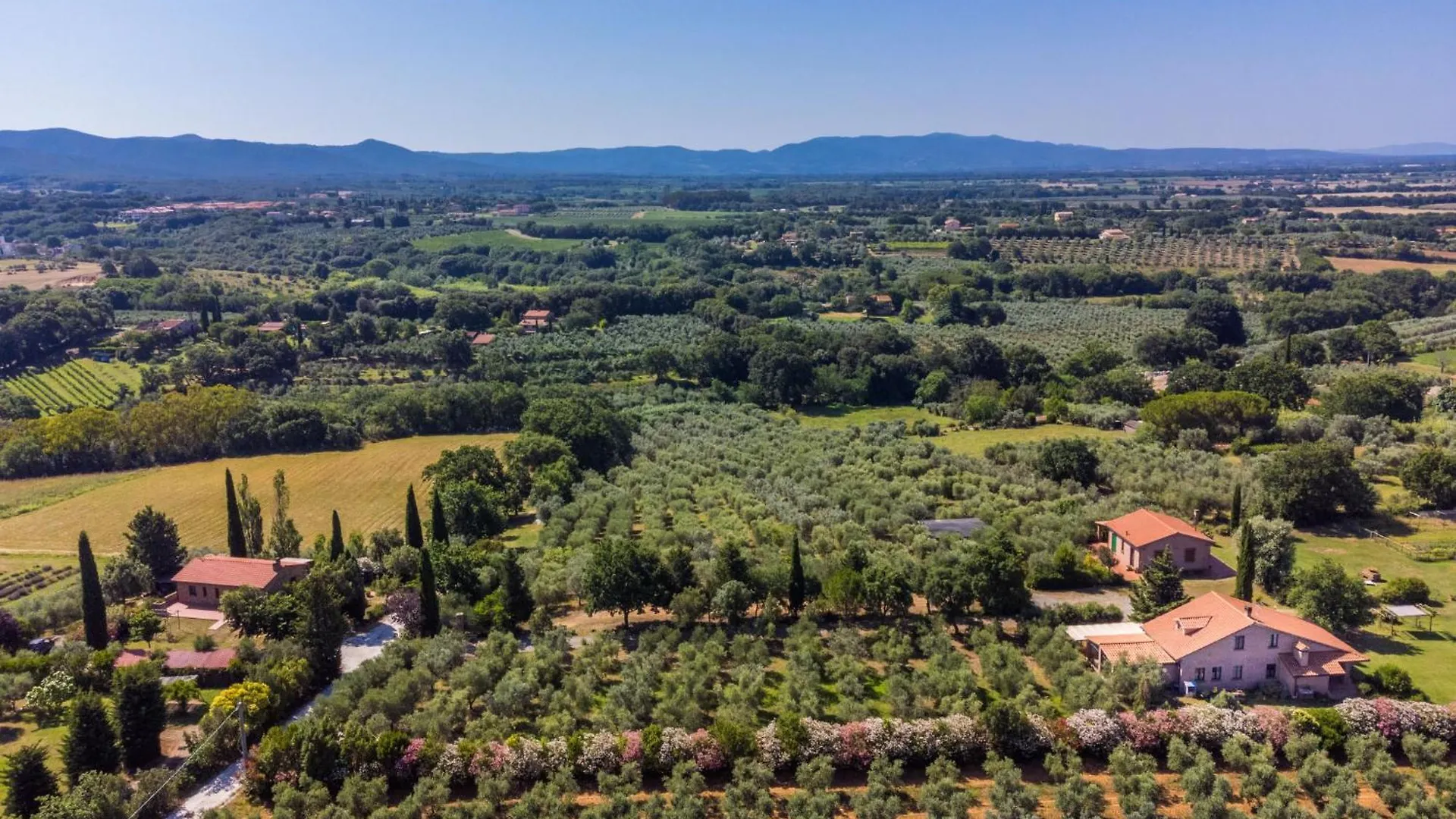 Appartamento Locazione Turistica Libeccio Bibbona