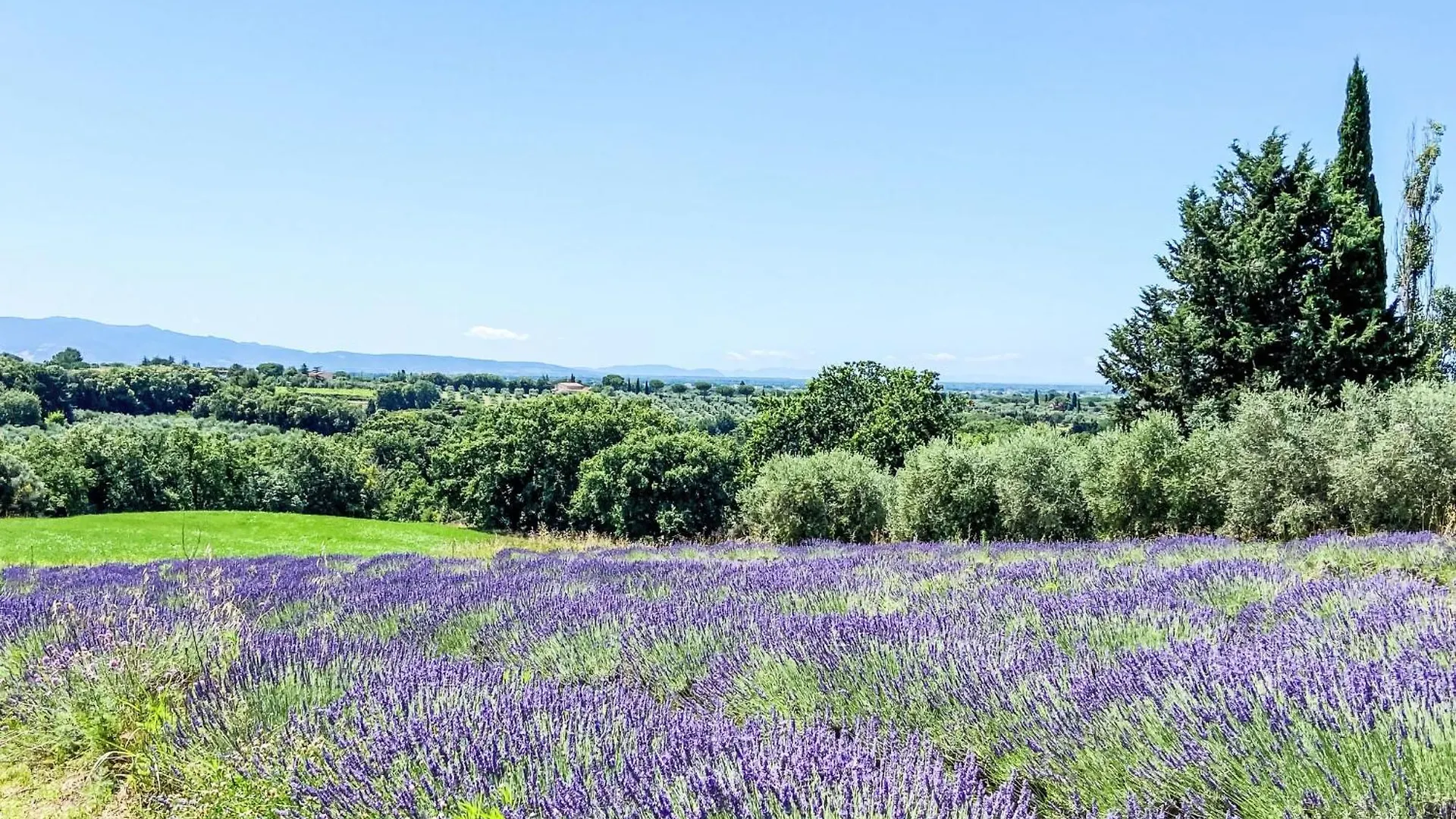 Appartamento Locazione Turistica Libeccio Bibbona Italia